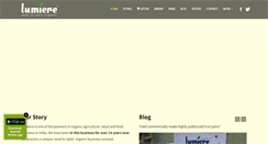 Desktop Screenshot of lumiere.co.in